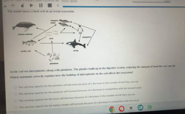 Solved: The model shows a food web in an ocean ecosystem. Arctic cod ...