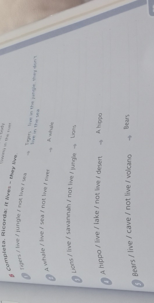 is body
(swim) in the river.
§ Completa. Ricorda: it lives - they live.
1Tigers / live / jungle / not live / sea
Tigers live in the jungle, they don't
live in the sea
A whale / live / sea / not live / river A whale
3 Lions / live / savannah / not live / jungle Lions
A hippo / live / lake / not live / desert A hippo
5)Bears / live / cave / not live / volcano Bears