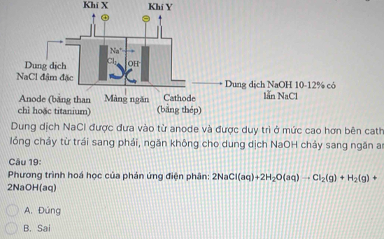 Khí X Khí Y
Dung dịch NaCI được đưa vào từ anode và được duy trì ở mức cao hơn bên cath
lỏng chảy từ trái sang phải, ngăn không cho dung dịch NaOH chảy sang ngăn an
Câu 19:
Phương trình hoá học của phản ứng điện phân: 2NaCl(aq)+2H_2O(aq)to Cl_2(g)+H_2(g) +
2NaOH(aq)
A. Đúng
B. Sai