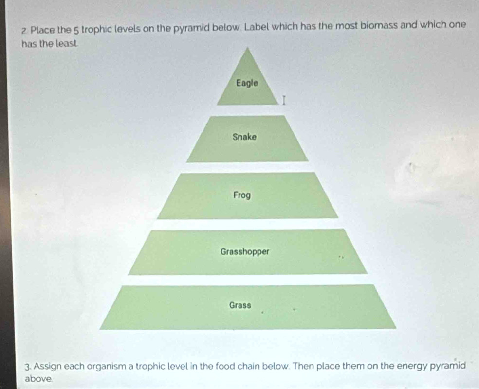 Place the 5 trophic levels on the pyramid below. Label which has the most biomass and which one 
has the least 
Eagle 
I 
Snake 
Frog 
Grasshopper 
Grass 
3. Assign each organism a trophic level in the food chain below. Then place them on the energy pyramid 
above.