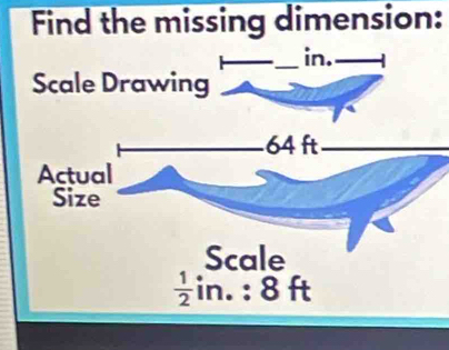 Find the missing dimension: