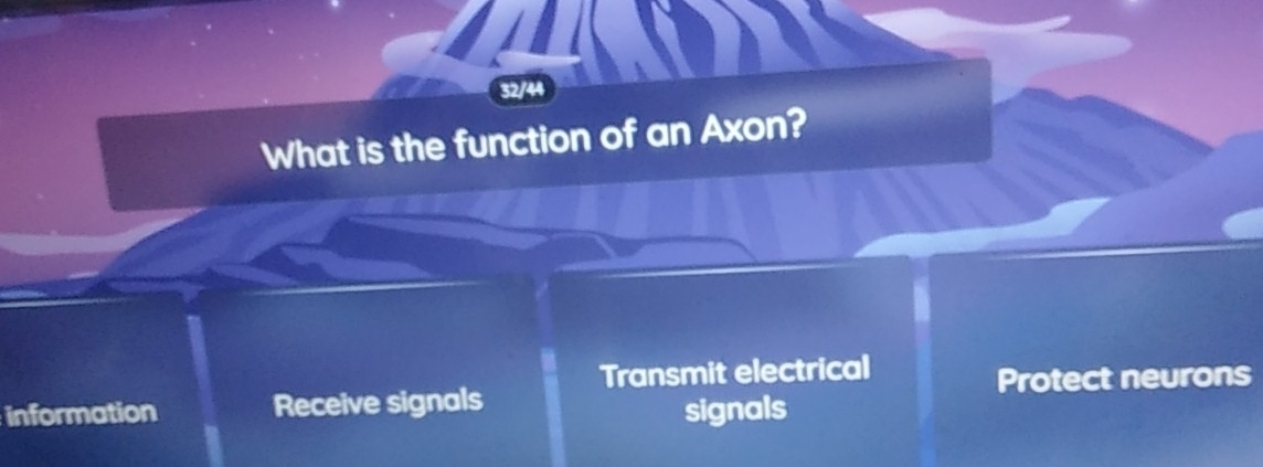 32/44
What is the function of an Axon?
information Receive signals Transmit electrical
Protect neurons
signals