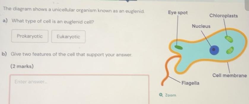 Solved: The diagram shows a unicellular organism known as an euglenid ...