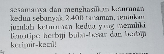 sesamanya dan menghasilkan keturunan 
kedua sebanyak 2.400 tanaman, tentukan 
jumlah keturunan kedua yang memiliki 
fenotipe berbiji bulat-besar dan berbiji 
keriput-kecil!