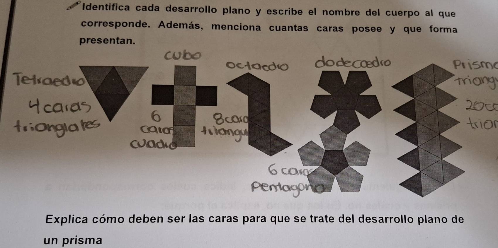 Identifica cada desarrollo plano y escribe el nombre del cuerpo al que 
corresponde. Además, menciona cuantas caras posee y que forma 
presentan. 
Explica cómo deben ser las caras para que se trate del desarrollo plano de 
un prisma