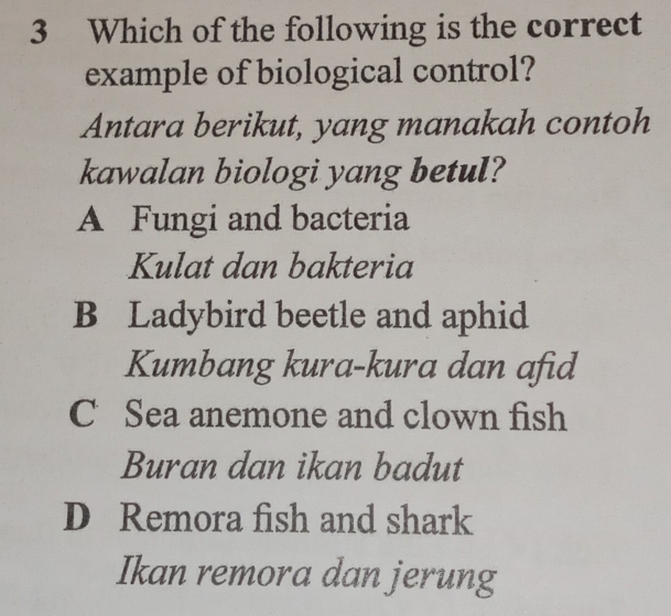 Which of the following is the correct
example of biological control?
Antara berikut, yang manakah contoh
kawalan biologi yang betul?
A Fungi and bacteria
Kulat dan bakteria
B Ladybird beetle and aphid
Kumbang kura-kura dan afid
C Sea anemone and clown fish
Buran dan ikan badut
D Remora fish and shark
Ikan remora dan jerung