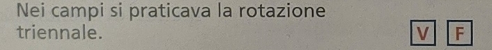 Nei campi si praticava la rotazione 
triennale. V F