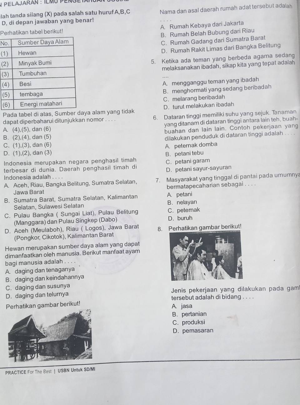 Pelajaran : ilmu péngétan
ilah tanda silang (X) pada salah satu huruf A,B,C Nama dan asal daerah rumah adat tersebut adalah
D, di depan jawaban yang benar!
Perhatikan tabel berikut! A. Rumah Kebaya dari Jakarta
B. Rumah Belah Bubung dari Riau
N
( C. Rumah Gadang dari Sumatra Barat
D. Rumah Rakit Limas dari Bangka Belitung
(
5. Ketika ada teman yang berbeda agama sedang
( melaksanakan ibadah, sikap kita yang tepat adalah
(
A. mengganggu teman yang ibadah
(
B. menghormati yang sedang beribadah
( C. melarang beribadah
Pada tabel di atas, Sumber daya alam yang tidak D. turut melakukan ibadah
dapat diperbaharui ditunjukkan nomor . . . . 6. Dataran tinggi memiliki suhu yang sejuk. Tanaman
A. (4),(5), dan (6) yang ditanam di dataran tinggi antara lain teh, buah-
B. (2),(4), dan (5) buahan dan lain lain. Contoh pekerjaan yang
dilakukan penduduk di dataran tinggi adalah . . . .
C. (1),(3), dan (6) A. peternak domba
D. (1),(2), dan (3)
Indonesia merupakan negara penghasil timah B. petani tebu
C. petani garam
terbesar di dunia. Daerah penghasil timah di D. petani sayur-sayuran
Indonesia adalah . . . .
A. Aceh, Riau, Bangka Belitung, Sumatra Selatan, 7. Masyarakat yang tinggal di pantai pada umumnya
Jawa Barat bermatapecaharian sebagai . . . .
B. Sumatra Barat, Sumatra Selatan, Kalimantan A. petani
B. nelayan
Selatan, Sulawesi Selatan
C. Pulau Bangka ( Sungai Liat), Pulau Belitung C. peterak
(Manggara) dan Pulau Singkep (Dabo) D. buruh
D. Aceh (Meulaboh), Riau ( Logos), Jawa Barat 8. Perhatikan gambar berikut!
(Pongkor, Cikotok), Kalimantan Barat
Hewan merupakan sumber daya alam yang dapat
dimanfaatkan oleh manusia. Berikut manfaat ayam
bagi manusia adalah . . . .
A. daging dan tenaganya
B. daging dan keindahannya
C. daging dan susunya
D. daging dan telurnya Jenis pekerjaan yang dilakukan pada gam
tersebut adalah di bidang . . . .
Perhatikan gambar berikut! A. jasa
B. pertanian
C. produksi
D. pemasaran
PRACTICE For The Best |USBN Untuk SD/MI