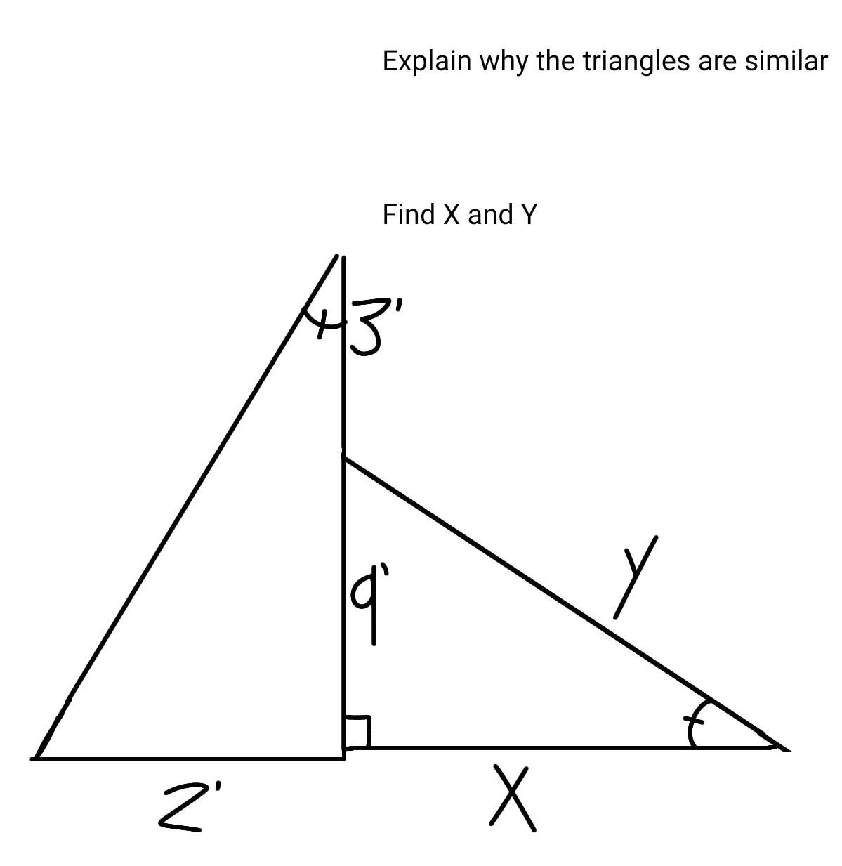 Explain why the triangles are similar