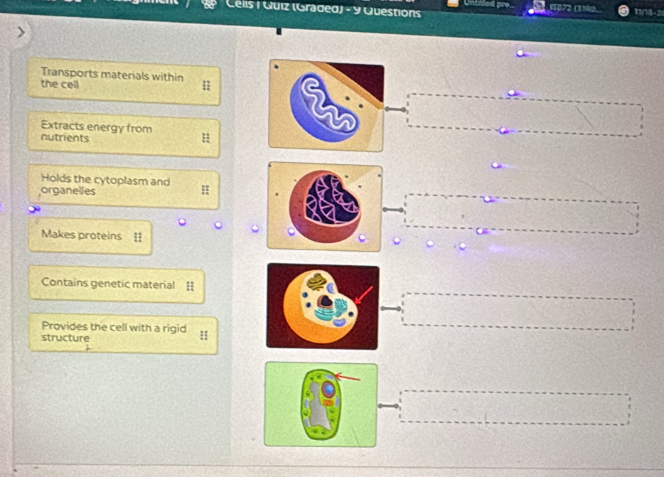 Celis ( Quiz (Graded) - y Questions 
15072 (3140 11/18-2 
Transports materials within 
the cell 
Extracts energy from 
nutrients : 
Holds the cytoplasm and 
organelles 
Makes proteins I 
Contains genetic material = 
Provides the cell with a rigid : 
structure