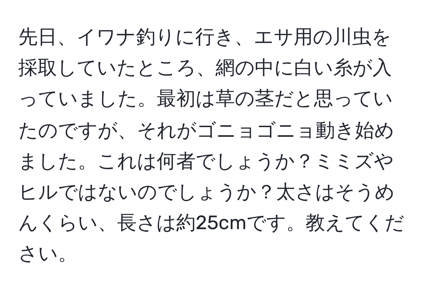 先日、イワナ釣りに行き、エサ用の川虫を採取していたところ、網の中に白い糸が入っていました。最初は草の茎だと思っていたのですが、それがゴニョゴニョ動き始めました。これは何者でしょうか？ミミズやヒルではないのでしょうか？太さはそうめんくらい、長さは約25cmです。教えてください。