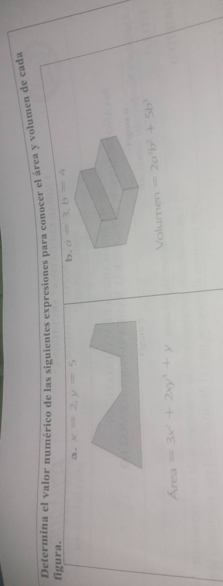 Determina el valor numérico de las siguientes expresiones para conocer el área y volumen de cada 
figura. 
a. x=2, y=5
b. a=3, b=4
6 
Figura 
Área =3x^2+2xy^3+y Volumen =2a^3b^2+5b^3