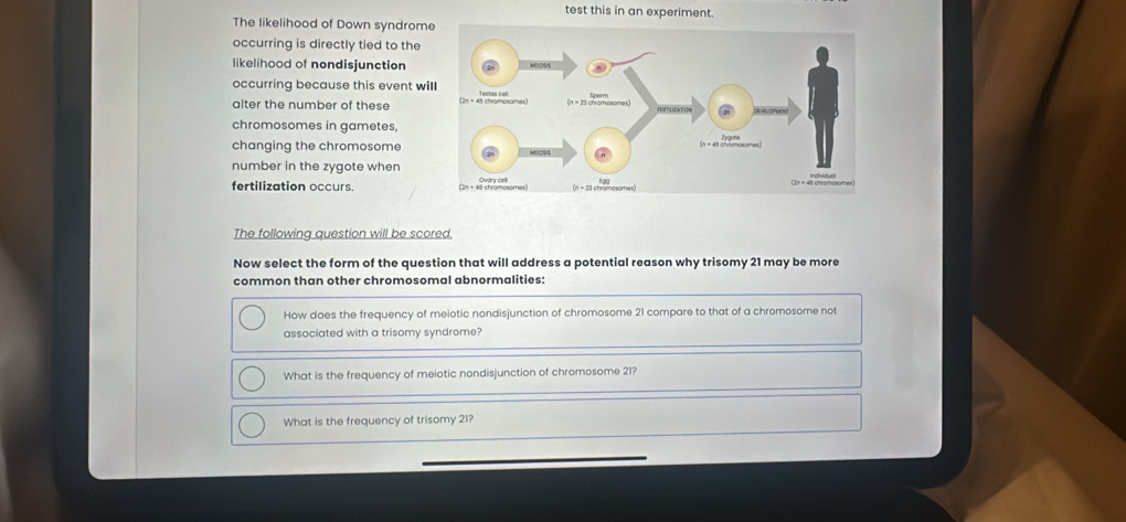 test this in an experiment.
The likelihood of Down syndrom
occurring is directly tied to the
likelihood of nondisjunction
occurring because this event wi
alter the number of these 
chromosomes in gametes,
changing the chromosome
number in the zygote when
fertilization occurs. 
The following question will be scored.
Now select the form of the question that will address a potential reason why trisomy 21 may be more
common than other chromosomal abnormalities:
How daes the frequency of meiotic nondisjunction of chromosome 21 compare to that of a chromosome not
associated with a trisomy syndrome?
What is the frequency of meiotic nondisjunction of chromosome 21?
What is the frequency of trisomy 21?