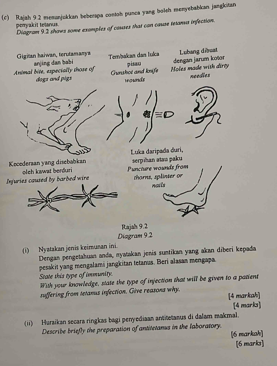 Rajah 9.2 menunjukkan beberapa contoh punca yang boleh menyebabkan jangkitan
penyakit tetanus.
Diagram 9.2 shows some examples of causes that can cause tetanus infection.
Gigitan haiwan, terutamanya Tembakan dan luka Lubang dibuat
anjing dan babi
pisau dengan jarum kotor
Animal bite, especially those of Gunshot and knife Holes made with dirty
dogs and pigs
wounds needles
Luka daripada duri,
Kecederaan yang disebabkan serpihan atau paku
oleh kawat berduri Puncture wounds from
Injuries caused by barbed wire thorns, splinter or
nails
Rajah 9.2
Diagram 9.2
(i) Nyatakan jenis keimunan ini.
Dengan pengetahuan anda, nyatakan jenis suntikan yang akan diberi kepada
pesakit yang mengalami jangkitan tetanus. Beri alasan mengapa.
State this type of immunity.
With your knowledge, state the type of injection that will be given to a patient
suffering from tetanus infection. Give reasons why.
[4 markah]
[4 marks]
(ii) Huraikan secara ringkas bagi penyediaan antitetanus di dalam makmal.
Describe briefly the preparation of antitetanus in the laboratory.
[6 markah]
[6 marks]