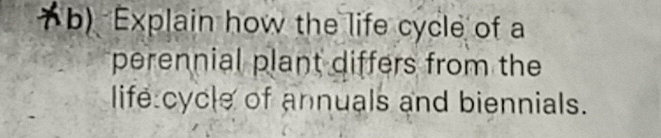 Explain how the life cycle of a 
perennial plant differs from the 
life cycle of annuals and biennials.