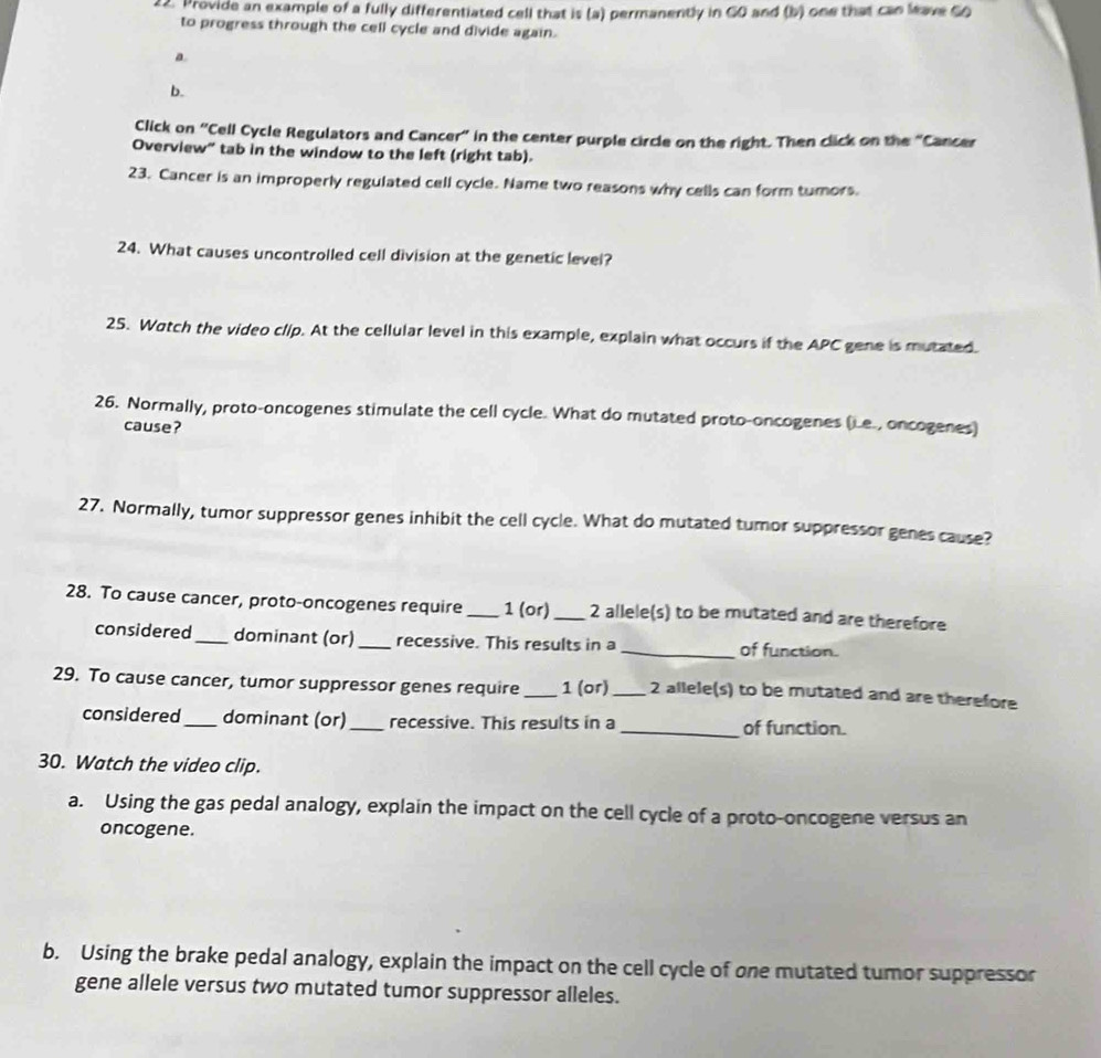 Provide an example of a fully differentiated cell that is (a) permanently in 6O and (b) one that can leave 6O
to progress through the cell cycle and divide again. 
a 
b. 
Click on "Cell Cycle Regulators and Cancer" in the center purple circle on the right. Then click on the "Cancer 
Overview" tab in the window to the left (right tab). 
23. Cancer is an improperly regulated cell cycle. Name two reasons why cells can form tumors. 
24. What causes uncontrolled cell division at the genetic level? 
25. Watch the video clip. At the cellular level in this example, explain what occurs if the APC gene is mutated. 
26. Normally, proto-oncogenes stimulate the cell cycle. What do mutated proto-oncogenes (Le., oncogenes) 
cause? 
27. Normally, tumor suppressor genes inhibit the cell cycle. What do mutated tumor suppressor genes cause? 
28. To cause cancer, proto-oncogenes require _ 1 (or)_ 2 allele(s) to be mutated and are therefore 
considered_ dominant (or) _recessive. This results in a _of function. 
29. To cause cancer, tumor suppressor genes require _ 1 (or) _ 2 allele(s) to be mutated and are therefore 
considered_ dominant (or) _recessive. This results in a_ of function. 
30. Watch the video clip. 
a. Using the gas pedal analogy, explain the impact on the cell cycle of a proto-oncogene versus an 
oncogene. 
b. Using the brake pedal analogy, explain the impact on the cell cycle of one mutated tumor suppressor 
gene allele versus two mutated tumor suppressor alleles.