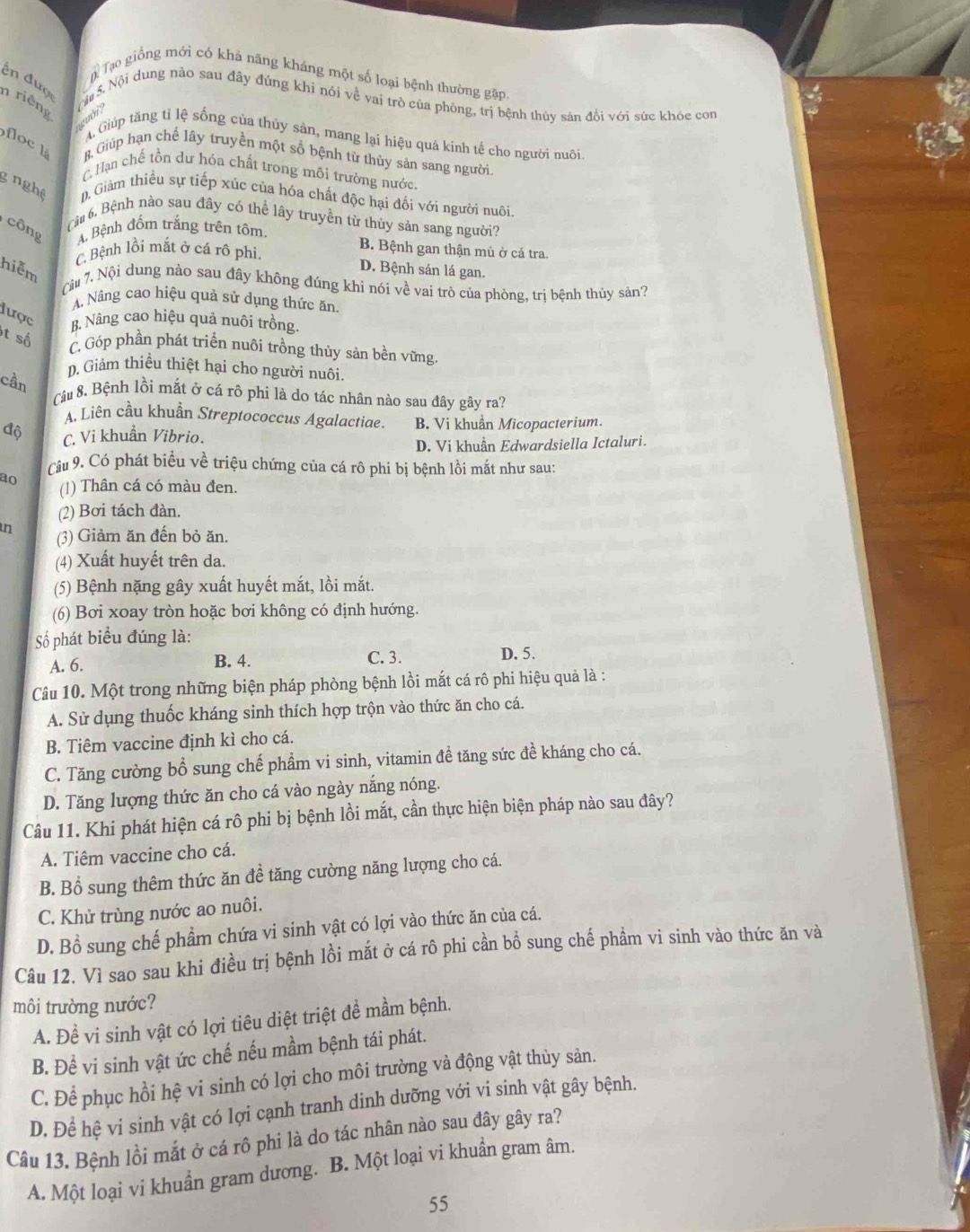 Tạo giống mới có khả năng kháng một số loại bệnh thường gặp
ến đượ
n riêng
wười ? Nộ S Nội dung nào sau đây đúng khi nói về vai trò của phòng, trị bệnh thùy sản đối với sức khóc con
A.Giúp tăng tỉ lệ sống của thủy sản, mang lại hiệu quá kinh tế cho người nuôi
c B, Giúp hạn chể lây truyền một số bệnh từ thùy sản sang người
CHạn chế tồn dư hóa chất trong môi trường nước
g nghệ. Giảm thiều sự tiếp xúc của hóa chất độc hại đối với người nuôi,
Càu 6, Bệnh nào sau đây có thể lây truyền từ thủy sản sang người?
công A Bệnh đốm trắng trên tôm
C Bệnh lồi mắt ở cá rô phi,
B. Bệnh gan thận mù ở cá tra
hiễm
D. Bệnh sán lá gan.
Câu 7. Nội dung nào sau đây không đúng khi nói về vai trò của phòng, trị bệnh thủy sản?
A. Nâng cao hiệu quả sử dụng thức ăn.
lược BB. Nâng cao hiệu quả nuôi trồng
t số C. Góp phần phát triển nuôi trồng thủy sản bền vững.
D. Giảm thiều thiệt hại cho người nuôi
cần
Câu 8. Bệnh lồi mắt ở cá rô phi là do tác nhân nào sau đây gây ra?
A. Liên cầu khuẩn Streptococcus Agalactiae. B. Vi khuẩn Micopacterium.
độ C. Vi khuẩn Vibrio.
D. Vi khuẩn Edwardsiella Ictaluri.
Câu 9. Có phát biểu về triệu chứng của cá rô phi bị bệnh lồi mắt như sau:
ao (!) Thân cá có màu đen.
(2) Bơi tách đàn.
in (3) Giảm ăn đến bỏ ăn.
(4) Xuất huyết trên da.
(5) Bệnh nặng gây xuất huyết mắt, lồi mắt.
(6) Bơi xoay tròn hoặc bơi không có định hướng.
Số phát biểu đúng là:
B. 4. C. 3.
A. 6. D. 5.
Câu 10. Một trong những biện pháp phòng bệnh lồi mắt cá rô phi hiệu quả là :
A. Sử dụng thuốc kháng sinh thích hợp trộn vào thức ăn cho cá.
B. Tiêm vaccine định kì cho cá.
C. Tăng cường bổ sung chế phầm vi sinh, vitamin đề tăng sức đề kháng cho cá.
D. Tăng lượng thức ăn cho cá vào ngày nắng nóng.
Câu 11. Khi phát hiện cá rô phi bị bệnh lồi mắt, cần thực hiện biện pháp nào sau đây?
A. Tiêm vaccine cho cá.
B. Bổ sung thêm thức ăn đề tăng cường năng lượng cho cá.
C. Khử trùng nước ao nuôi.
D. Bổ sung chế phẩm chứa vi sinh vật có lợi vào thức ăn của cá.
Câu 12. Vì sao sau khi điều trị bệnh lồi mắt ở cá rô phi cần bồ sung chế phẩm vi sinh vào thức ăn và
môi trường nước?
A. Đề vi sinh vật có lợi tiêu diệt triệt đề mầm bệnh.
B. Để vi sinh vật ức chế nếu mầm bệnh tái phát.
C. Để phục hồi hệ vi sinh có lợi cho môi trường và động vật thùy sản.
D. Để hệ vi sinh vật có lợi cạnh tranh dinh dưỡng với vi sinh vật gây bệnh.
Câu 13. Bệnh lồi mắt ở cá rô phi là do tác nhân nào sau đây gây ra?
A. Một loại vi khuẩn gram dương. B. Một loại vi khuẩn gram âm.
55