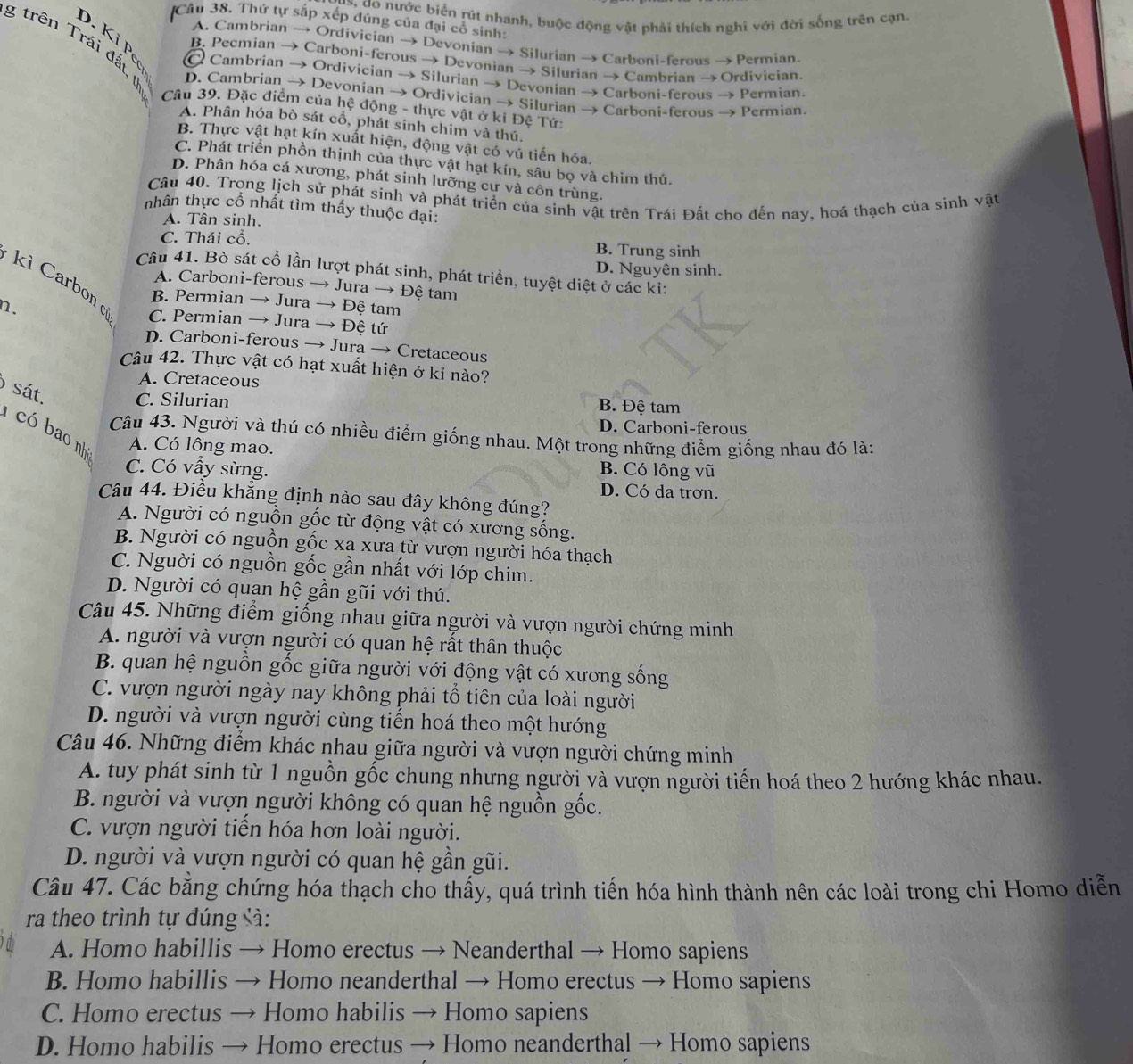 do nước biển rút nhanh, buộc động vật phải thích nghi với đời sống trên cạn
Câu 38. Thứ tự sắp xếp đúng của đại cổ sinh:
D. Ki  ị
A. Cambrian → Ordivician → Devonian → Silurian → Carboni-ferous → Permian.
B. Pecmian → Carboni-ferous → Devonian → Silurian → Cambrian → Ordivician
g trên Trái đất D. Cambrian → Devonian → Ordivician → Silurian → Carboni-ferous → Permian.
Cambrian → Ordivician → Silurian → Devonian → Carboni-ferous → Permian.
Câu 39. Đặc điểm của hệ động - thực vật ở ki Đệ Tứ:
A. Phân hóa bò sát cổ, phát sinh chim và thú.
B. Thực vật hạt kín xuất hiện, động vật có vú tiến hóa.
C. Phát triển phồn thịnh của thực vật hạt kín, sâu bọ và chim thú.
D. Phân hóa cá xương, phát sinh lưỡng cư và côn trùng.
Câu 40. Trong lịch sử phát sinh và phát triển của sinh vật trên Trái Đất cho đến nay, hoá thạch của sinh vật
nhân thực cổ nhất tìm thấy thuộc đại:
A. Tân sinh.
C. Thái cổ. B. Trung sinh
D. Nguyên sinh.
Câu 41. Bò sát cổ lần lượt phát sinh, phát triển, tuyệt diệt ở các kỉ:
kì Carbon
A. Carboni-ferous → Jura → Đệ tam
B. Permian → Jura → Đệ tam
n. C. Permian → Jura → Đệ tứ
D. Carboni-ferous → Jura → Cretaceous
Câu 42. Thực vật có hạt xuất hiện ở kỉ nào?
A. Cretaceous
o sát. C. Silurian B. Đệ tam
D. Carboni-ferous
có bao nh A. Có lông mao.
Câu 43. Người và thú có nhiều điểm giống nhau. Một trong những điểm giống nhau đó là:
B. Có lông vũ
C. Có vẫy sừng. D. Có da trơn.
Câu 44. Điều khẳng định nào sau đây không đúng?
A. Người có nguồn gốc từ động vật có xương sống.
B. Người có nguồn gốc xa xưa từ vượn người hóa thạch
C. Nguời có nguồn gốc gần nhất với lớp chim.
D. Người có quan hệ gần gũi với thú.
Câu 45. Những điểm giống nhau giữa người và vượn người chứng minh
A. người và vượn người có quan hệ rất thân thuộc
B. quan hệ nguồn gốc giữa người với động vật có xương sống
C. vượn người ngày nay không phải tổ tiên của loài người
D. người và vượn người cùng tiến hoá theo một hướng
Câu 46. Những điểm khác nhau giữa người và vượn người chứng minh
A. tuy phát sinh từ 1 nguồn gốc chung nhưng người và vượn người tiến hoá theo 2 hướng khác nhau.
B. người và vượn người không có quan hệ nguồn gốc.
C. vượn người tiến hóa hơn loài người.
D. người và vượn người có quan hệ gần gũi.
Câu 47. Các băng chứng hóa thạch cho thấy, quá trình tiến hóa hình thành nên các loài trong chi Homo diễn
ra theo trình tự đúng sà:
A. Homo habillis → Homo erectus → Neanderthal → Homo sapiens
B. Homo habillis → Homo neanderthal → Homo erectus → Homo sapiens
C. Homo erectus → Homo habilis → Homo sapiens
D. Homo habilis → Homo erectus → Homo neanderthal → Homo sapiens