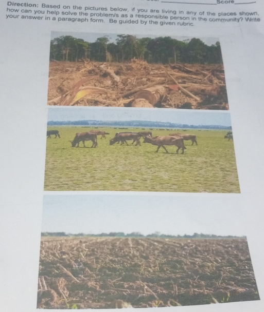 Score_ 
Direction: Based on the pictures below, if you are living in any of the places shown, 
how can you help solve the problem/s as a responsible person in the community? Write 
your answer in a paragraph form. Be guided by the given rubric.