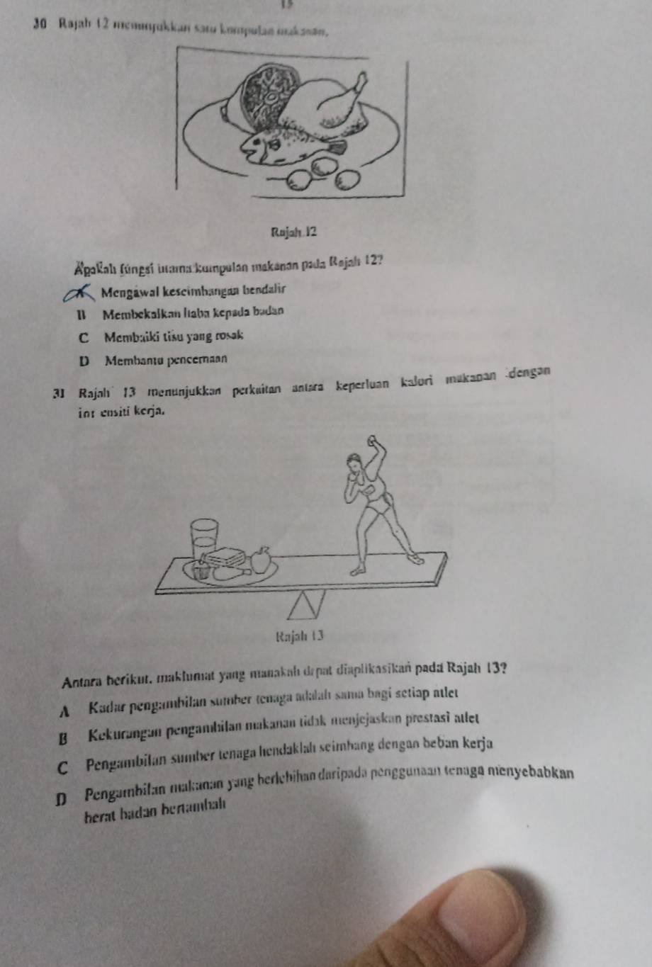 Rajah 12 mcmunjukkan sato kompulan makanan.
Rajah 12
Ágakahi (ungsí iama kumpulan makanan pada Rajah 12?
Mengåwal keseimbangan bendalir
I Membekalkan liaba kepada badan
C Membaiki tisu yang rosak
D Membantu penceran
3I Rajahı 13 menunjukkan perkuitan antara keperluan kalori mukanan dengan
int ensiti kerja.
Antara berikut, maklumat yang manakah drpat diaplikasikań pada Rajah 13?
A Kadar pengambilan sumber tenaga adalah sama bagi setiap atlet
B Kekurangan pengambilan makanan tidak menjejaskan prestasi atlet
C Pengambilan sumber tenaga hendaklah seimhang dengan beban kerja
D Pengambilan makanan yang berlehihan daripada penggunaan tenaga menyebabkan
herat hadan berambah