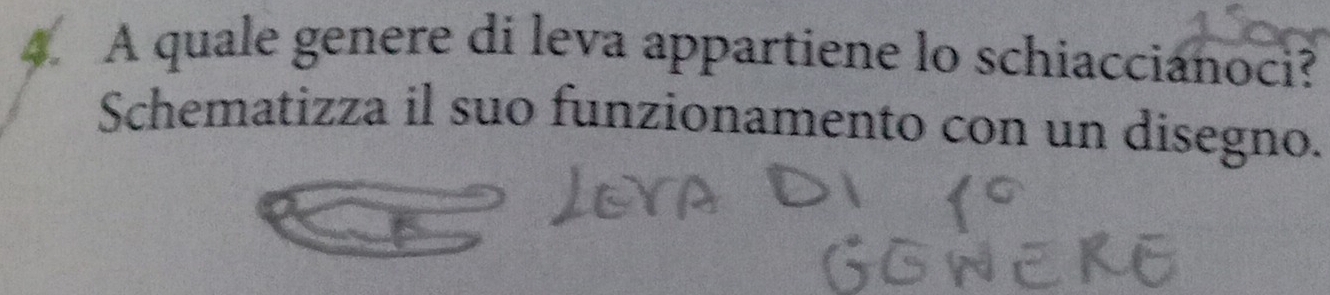 A quale genere di leva appartiene lo schiaccianoci? 
Schematizza il suo funzionamento con un disegno.