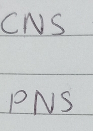 CNS
PNS