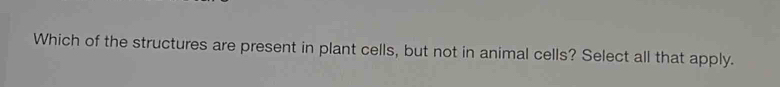 Which of the structures are present in plant cells, but not in animal cells? Select all that apply.