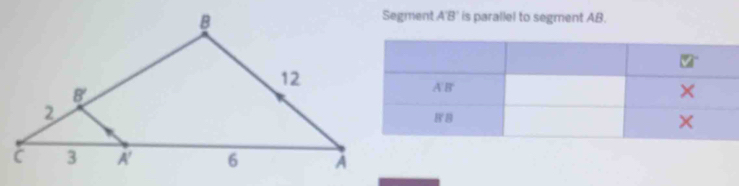 Segment A'B' is parallel to segment AB.