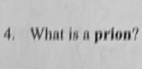 What is a prion?