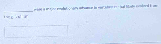 were a major evolutionary advance in vertebrates that likely evolved from 
the gills of fish
