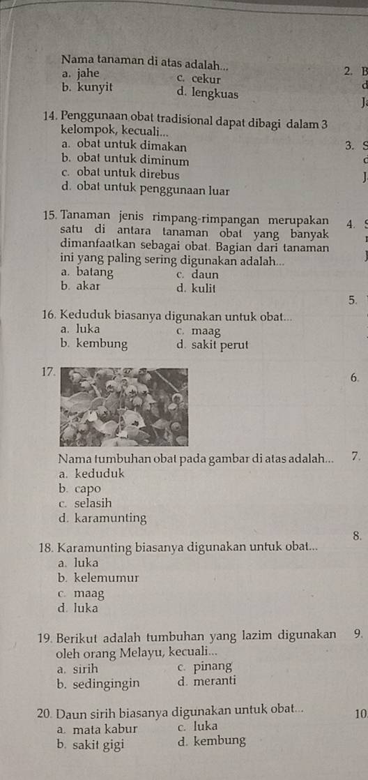 Nama tanaman di atas adalah...
a. jahe 2. B
c. cekur
d
b. kunyit d. lengkuas
J
14. Penggunaan obat tradisional dapat dibagi dalam 3
kelompok, kecuali...
a. obat untuk dimakan 3.S
b. obat untuk diminum r
c. obat untuk direbus
d. obat untuk penggunaan luar
15. Tanaman jenis rimpang-rimpangan merupakan A.
satu di antara tanaman obat yang banyak
dimanfaatkan sebagai obat. Bagian dari tanaman
ini yang paling sering digunakan adalah...
a. batang c. daun
b. akar d. kulit
5.
16. Keduduk biasanya digunakan untuk obat...
a. luka c. maag
b. kembung d. sakit perut
1
6.
Nama tumbuhan obat pada gambar di atas adalah... 7.
a. keduduk
b. capo
c. selasih
d. karamunting
8.
18. Karamunting biasanya digunakan untuk obat...
a. luka
b. kelemumur
c. maag
d. luka
19. Berikut adalah tumbuhan yang lazim digunakan 9.
oleh orang Melayu, kecuali...
a. sirih c. pinang
b. sedingingin d. meranti
20. Daun sirih biasanya digunakan untuk obat... 10
a mata kabur c. luka
b. sakit gigi d. kembung