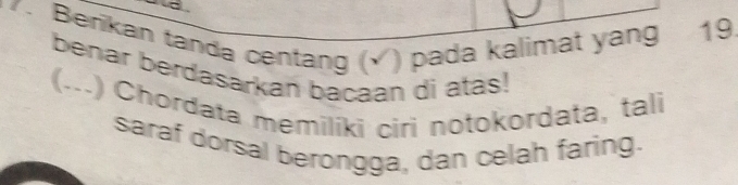 Berikan tanda centang (√) pada kalimat yang 19. 
benar berdasarkan bacaan di atas! 
(...) Chordata memiliki ciri notokordata, tali 
saraf dorsal berongga, dan celah faring.