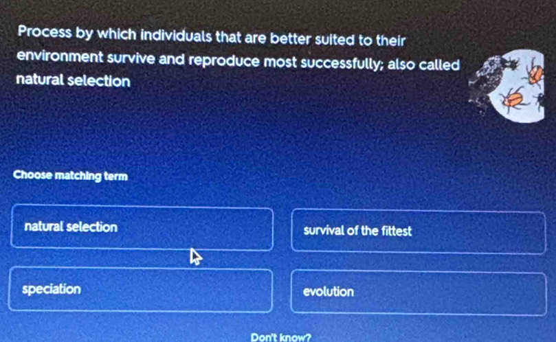 Process by which individuals that are better suited to their
environment survive and reproduce most successfully; also called
natural selection
Choose matching term
natural selection survival of the fittest
speciation evolution
Don't know?