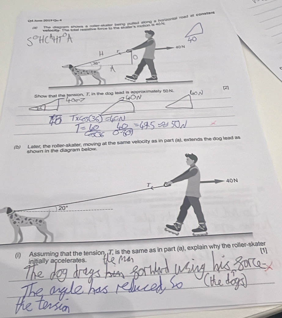 The distoram snows a roller-skater being pulled along a horizonzal road at constant
Q4 Jumo 2019 Qu 4
velocity. The total resistive force to the skater's motion is 40 N
40 N
μ r
36°
[2]
_
Show that the fension, 7, in the dog lead is approximately 50 N.
_
_
_
) Later, the roller-skater, moving at the same velocity as in part (a), extends the dog lead as
(i) Assuming that the tension, 7, is the same as in part (a), explain why the roller-skater [1]
_
injtially accelerates.
_
_
_