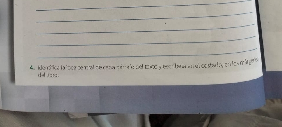 Identifica la idea central de cada párrafo del texto y escríbela en el costado, en los márgenes 
del libro.