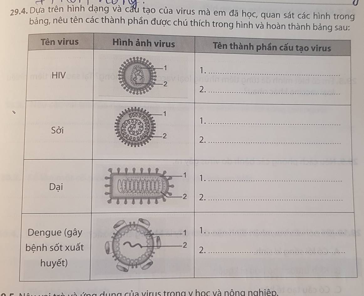 Dựa trên hình dạng và cầu tạo của virus mà em đã học, quan sát các hình trong 
bảng, nêu tên các thành phần được chú thích 
dụng của virus trong v học và nông nghiêp.