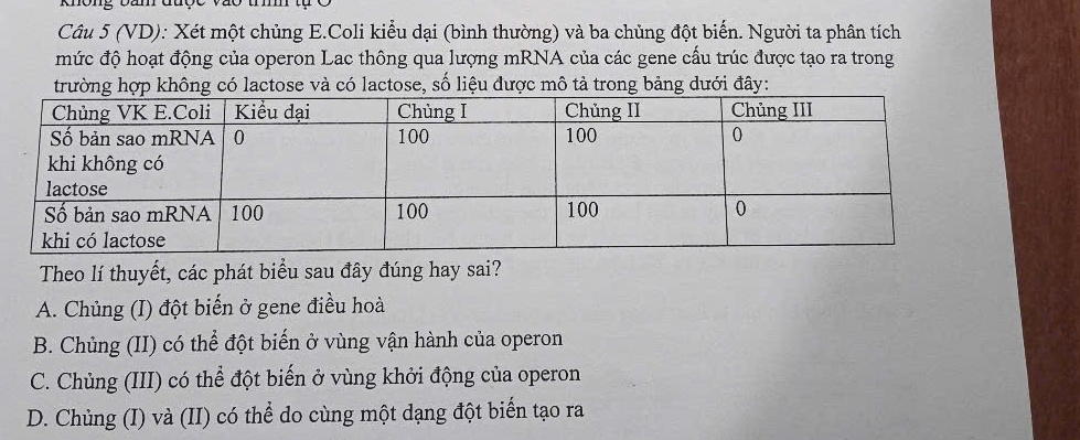 knong om đượe vo tm
Câu 5 (VD): Xét một chủng E.Coli kiểu dại (bình thường) và ba chủng đột biến. Người ta phân tích
mức độ hoạt động của operon Lac thông qua lượng mRNA của các gene cấu trúc được tạo ra trong
trường hợp không có lactose và có lactose, số liệu được mô tả trong bảng dưới đây:
Theo lí thuyết, các phát biểu sau đây đúng hay sai?
A. Chủng (I) đột biến ở gene điều hoà
B. Chủng (II) có thể đột biến ở vùng vận hành của operon
C. Chủng (III) có thể đột biến ở vùng khởi động của operon
D. Chủng (I) và (II) có thể do cùng một dạng đột biển tạo ra