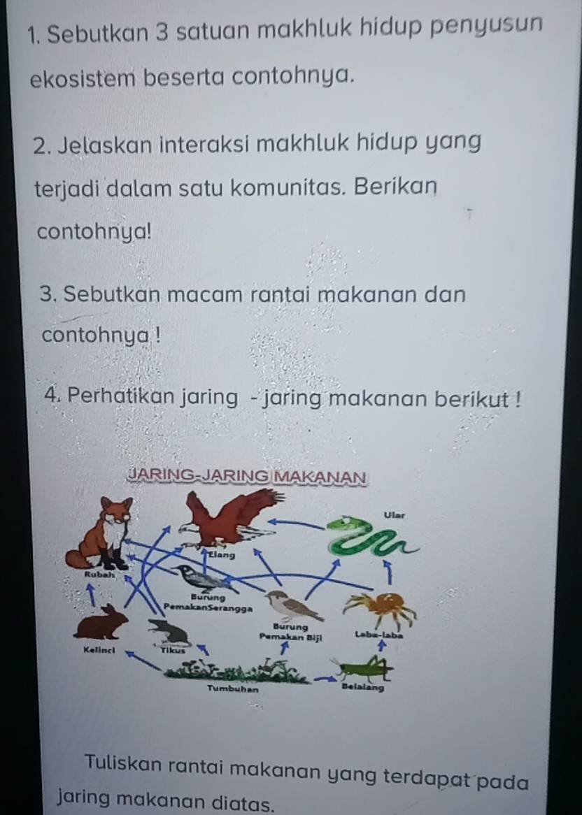 Sebutkan 3 satuan makhluk hidup penyusun 
ekosistem beserta contohnya. 
2. Jelaskan interaksi makhluk hidup yang 
terjadi dalam satu komunitas. Berikan 
contohnya! 
3. Sebutkan macam rantai makanan dan 
contohnya ! 
4. Perhatikan jaring - jaring makanan berikut ! 
Tuliskan rantai makanan yang terdapat pada 
jaring makanan diatas.