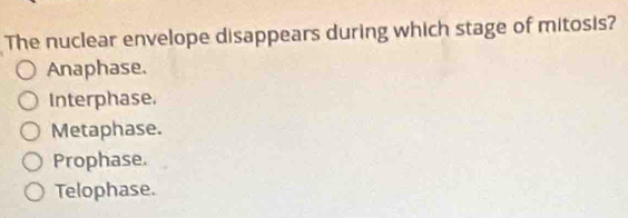 The nuclear envelope disappears during which stage of mitosis?
Anaphase.
Interphase.
Metaphase.
Prophase.
Telophase.