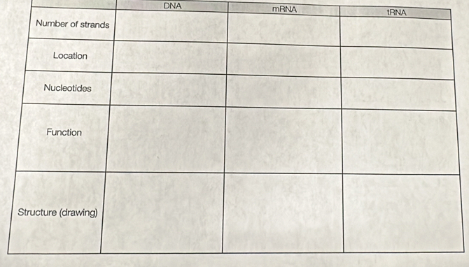DNA mRNA tRNA