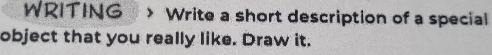 WRITING Write a short description of a special 
object that you really like. Draw it.