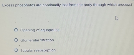 Excess phosphates are continually lost from the body through which process?
Opening of aquaporins
Glomerular filtration
Tubular reabsorption