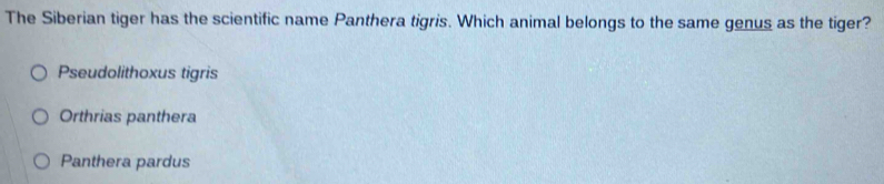 The Siberian tiger has the scientific name Panthera tigris. Which animal belongs to the same genus as the tiger?
Pseudolithoxus tigris
Orthrias panthera
Panthera pardus