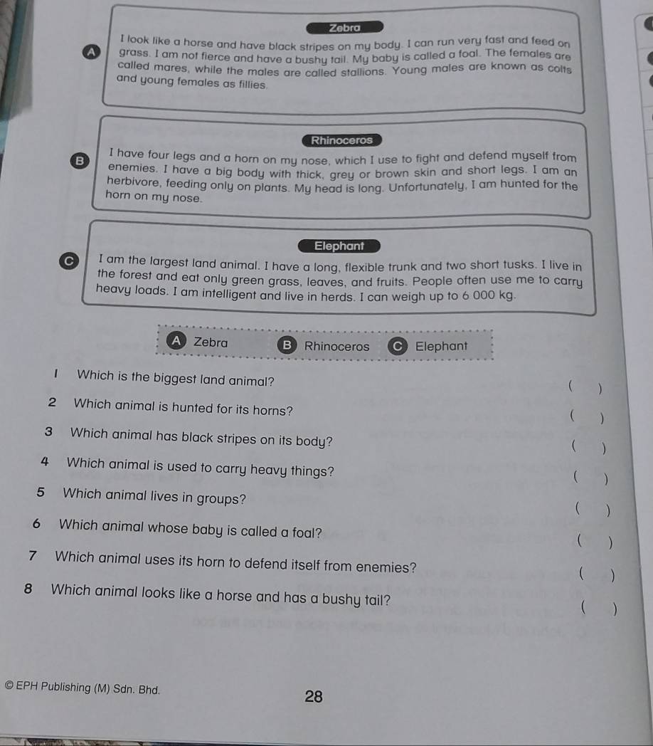 Zebra
I look like a horse and have black stripes on my body. I can run very fast and feed on
a grass. I am not fierce and have a bushy tail. My baby is called a foal. The females are
called mares, while the males are called stallions. Young males are known as colts
and young females as fillies.
Rhinoceros
I have four legs and a horn on my nose, which I use to fight and defend myself from
B enemies. I have a big body with thick, grey or brown skin and short legs. I am an
herbivore, feeding only on plants. My head is long. Unfortunately, I am hunted for the
horn on my nose.
Elephant
C I am the largest land animal. I have a long, flexible trunk and two short tusks. I live in
the forest and eat only green grass, leaves, and fruits. People often use me to carry
heavy loads. I am intelligent and live in herds. I can weigh up to 6 000 kg.
A Zebra B) Rhinoceros Elephant
I Which is the biggest land animal?
( )
2 Which animal is hunted for its horns?
( )
3 Which animal has black stripes on its body?
(
4 Which animal is used to carry heavy things?
( )
5 Which animal lives in groups?
 )
6 Which animal whose baby is called a foal?
 )
7 Which animal uses its horn to defend itself from enemies?
( )
8 Which animal looks like a horse and has a bushy tail?
 )
EPH Publishing (M) Sdn. Bhd. 28