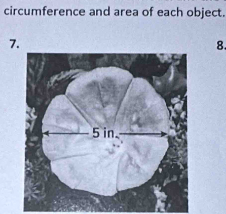 circumference and area of each object. 
7. 
8.