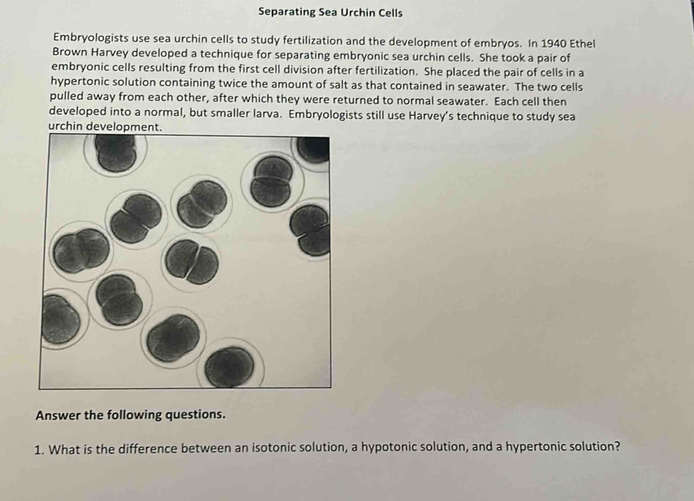 Separating Sea Urchin Cells 
Embryologists use sea urchin cells to study fertilization and the development of embryos. In 1940 Ethel 
Brown Harvey developed a technique for separating embryonic sea urchin cells. She took a pair of 
embryonic cells resulting from the first cell division after fertilization. She placed the pair of cells in a 
hypertonic solution containing twice the amount of salt as that contained in seawater. The two cells 
pulled away from each other, after which they were returned to normal seawater. Each cell then 
developed into a normal, but smaller larva. Embryologists still use Harvey’s technique to study sea 
Answer the following questions. 
1. What is the difference between an isotonic solution, a hypotonic solution, and a hypertonic solution?