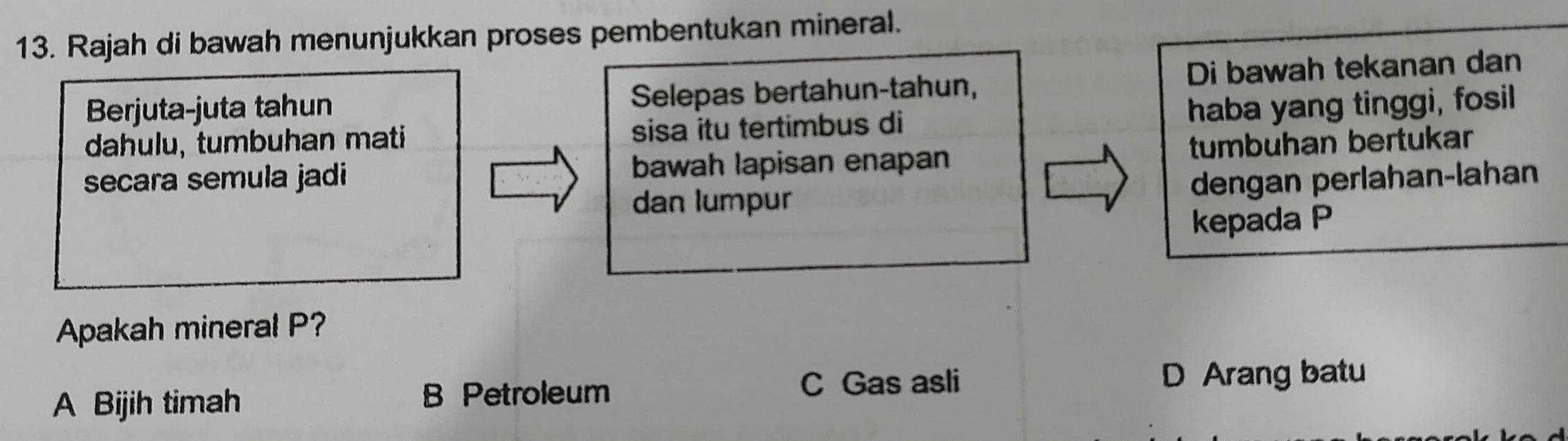 Rajah di bawah menunjukkan proses pembentukan mineral.
Berjuta-juta tahun Selepas bertahun-tahun, Di bawah tekanan dan
dahulu, tumbuhan mati sisa itu tertimbus di haba yang tinggi, fosil
secara semula jadi bawah lapisan enapan tumbuhan bertukar
dan lumpur dengan perlahan-lahan
kepada P
Apakah mineral P?
A Bijih timah C Gas asli D Arang batu
B Petroleum