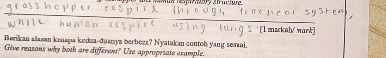 ma numun resptratory structure. 
_ 
[1 markah/ mark] 
Berikan alasan kenapa kedua-duanya berbeza? Nyatakan contoh yang sesuai. 
Give reasons why both are different? Use appropriate example.