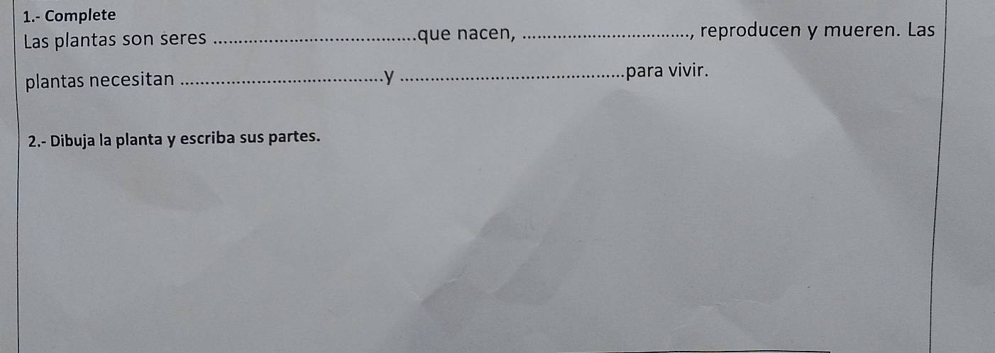 1.- Complete 
Las plantas son seres _que nacen, _, reproducen y mueren. Las 
plantas necesitan _y 
_para vivir. 
2.- Dibuja la planta y escriba sus partes.