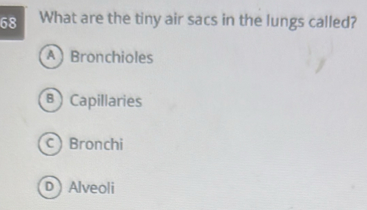 What are the tiny air sacs in the lungs called?
A Bronchioles
B Capillaries
C Bronchi
D Alveoli